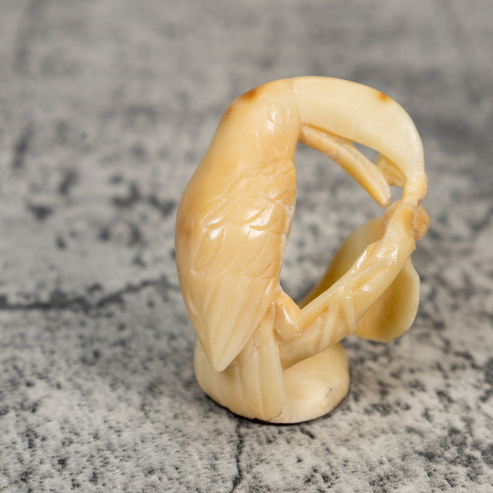 Vintage Natural White Toucan Parrot Bird Tagua Carving