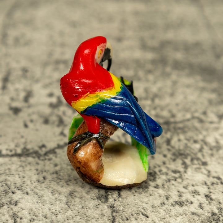 Rainforest Macaw Parrot Bird Tagua Carving