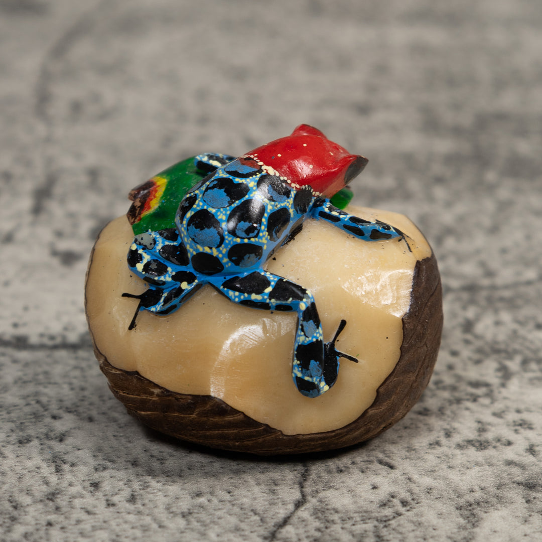 Blue Red And Black Poison Dart Frog Tagua Carving