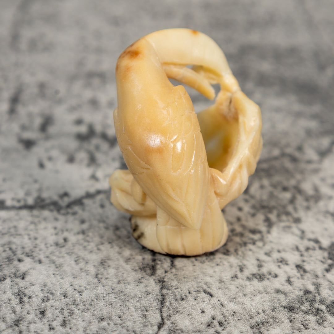 Vintage Natural White Toucan Parrot Bird Tagua Carving