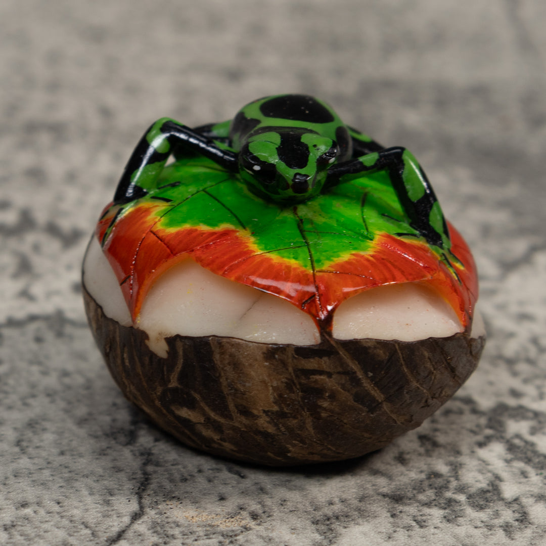 Green And Black Poison Dart Frog Tagua Carving