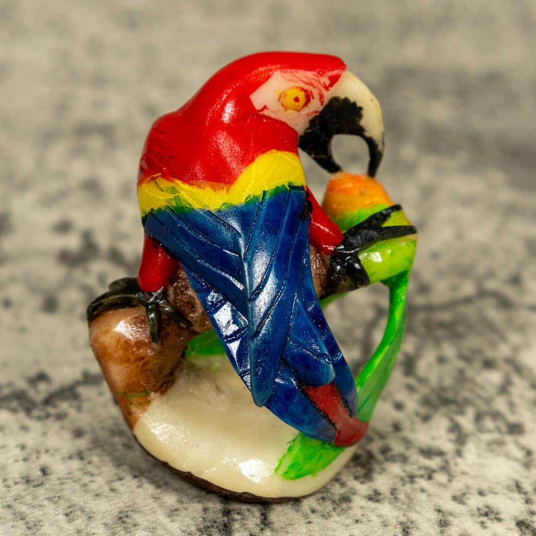Rainforest Macaw Parrot Bird Tagua Carving