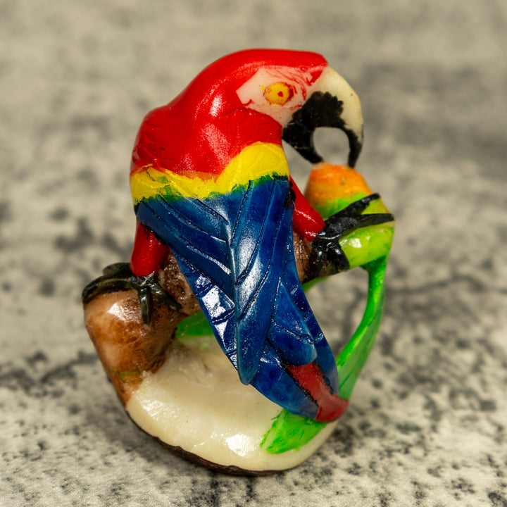 Rainforest Macaw Parrot Bird Tagua Carving