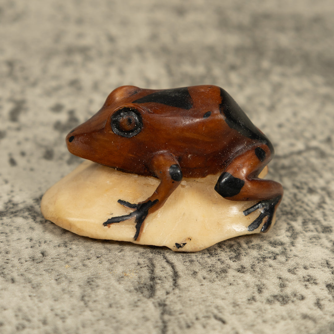 Vintage Brown And Black Frog Tagua Carving