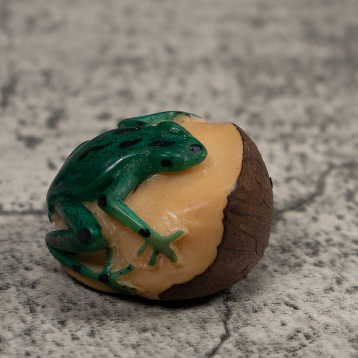 Vintage Black And Green Frog Tagua Carving
