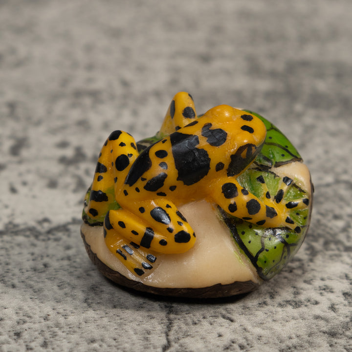 Black And Gold Poison Dart Frog Tagua Carving