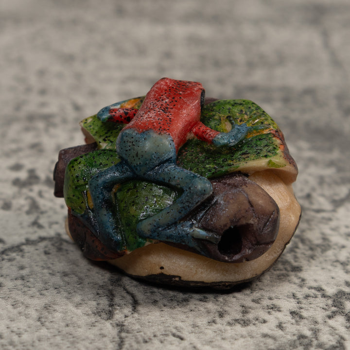 Red And Blue Poison Dart Frog Tagua Carving