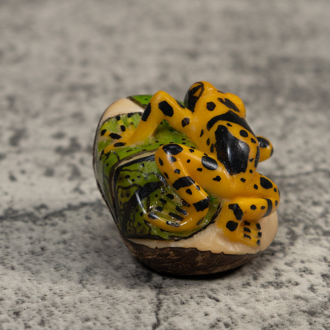 Black And Gold Poison Dart Frog Tagua Carving
