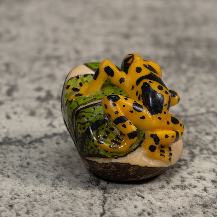 Black And Gold Poison Dart Frog Tagua Carving