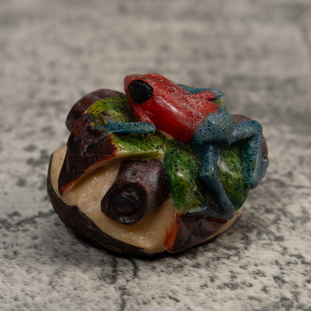 Red And Blue Poison Dart Frog Tagua Carving