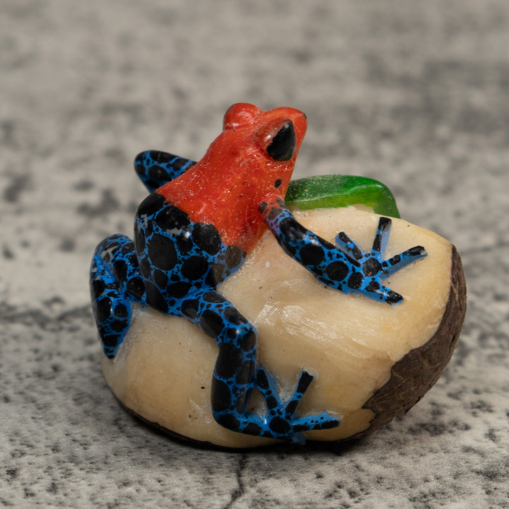 Red And Blue Poison Dart Frog Tagua Carving