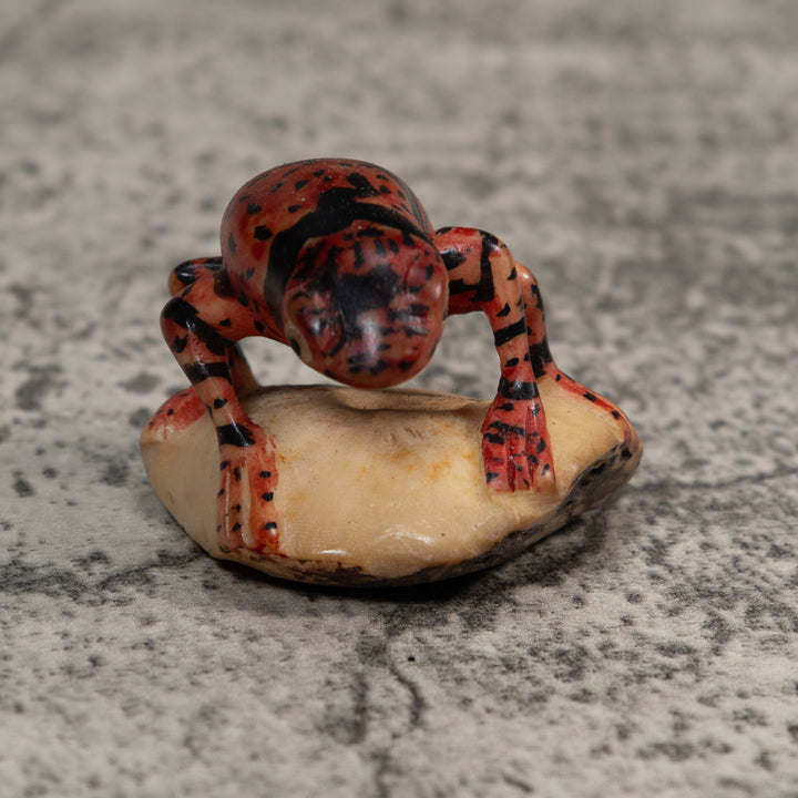 Gold And Black Undercut Poison Dart Frog Tagua Carving