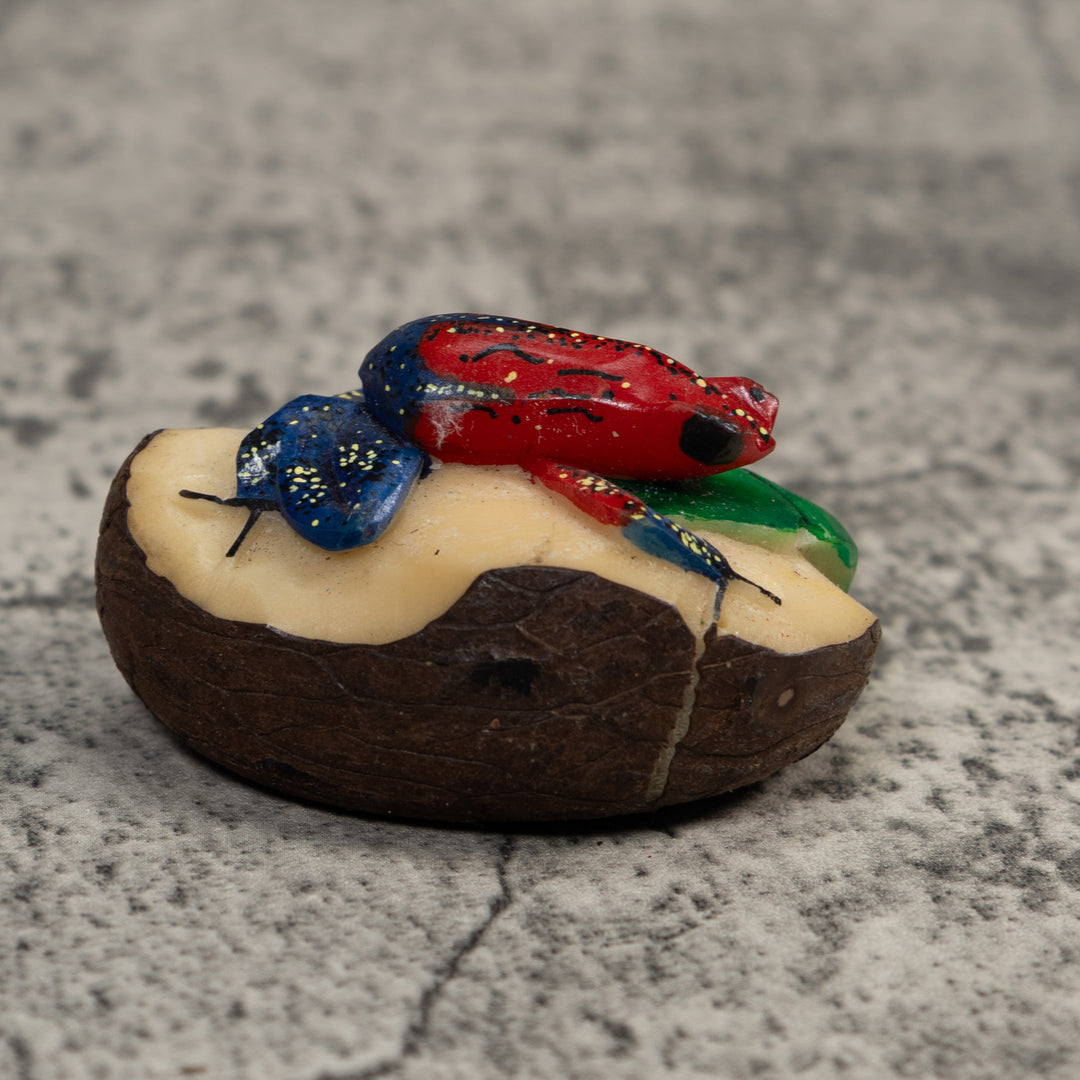 Red And Blue Poison Dart Frog Tagua Carving