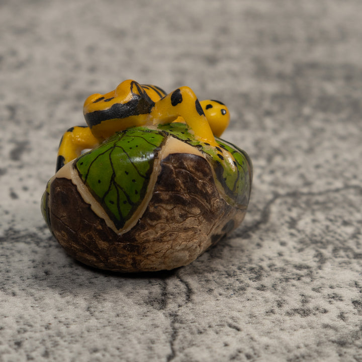 Black And Gold Poison Dart Frog Tagua Carving