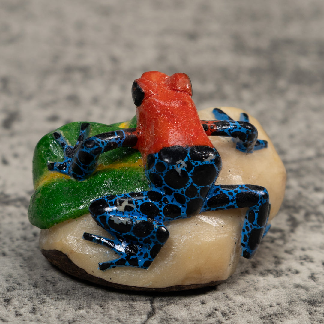 Red And Blue Poison Dart Frog Tagua Carving