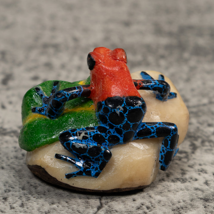 Red And Blue Poison Dart Frog Tagua Carving