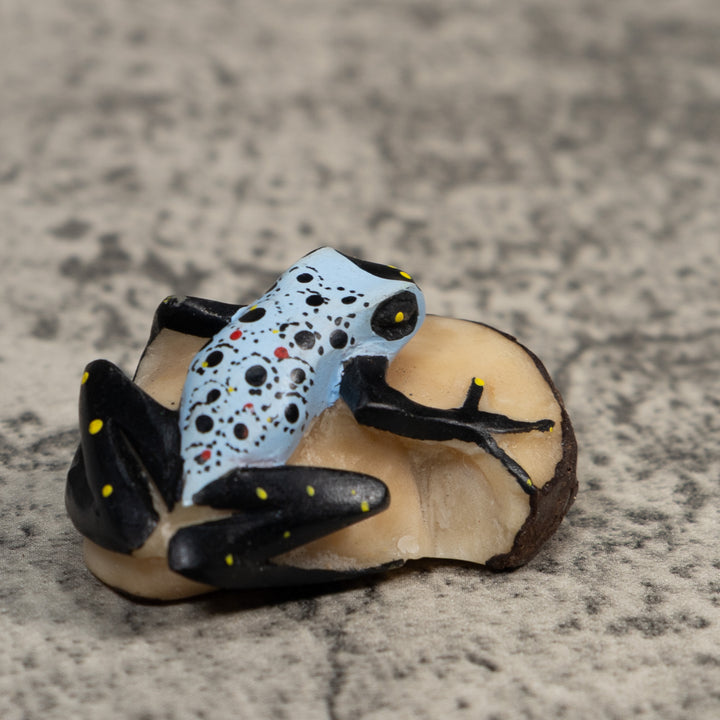 Vintage Black And Blue Poison Dart Frog Tagua Carving