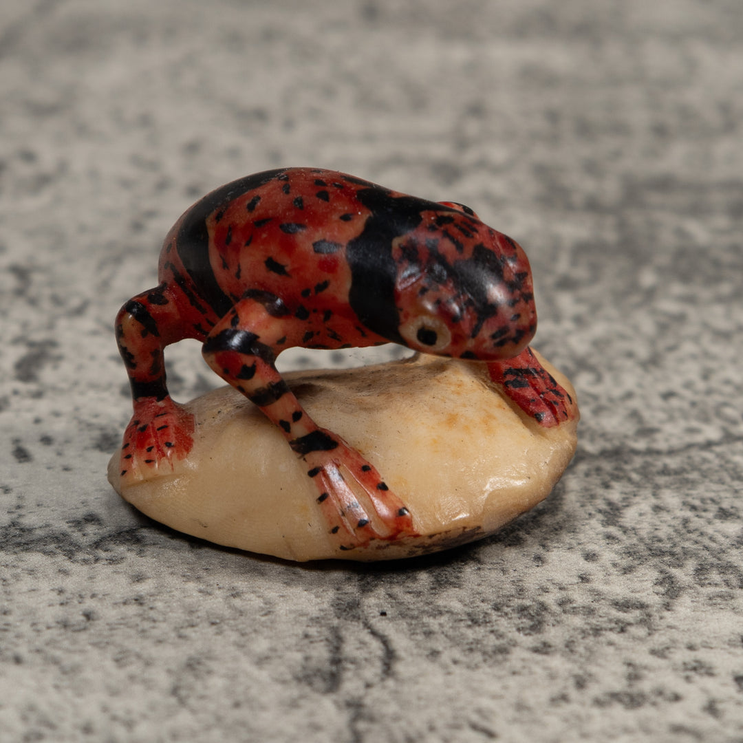 Gold And Black Undercut Poison Dart Frog Tagua Carving