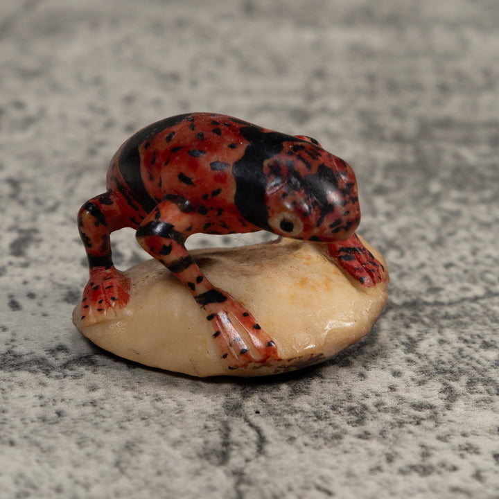 Gold And Black Undercut Poison Dart Frog Tagua Carving