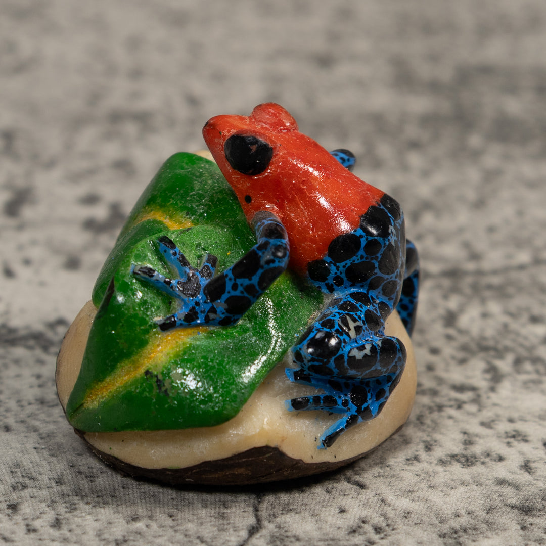 Red And Blue Poison Dart Frog Tagua Carving