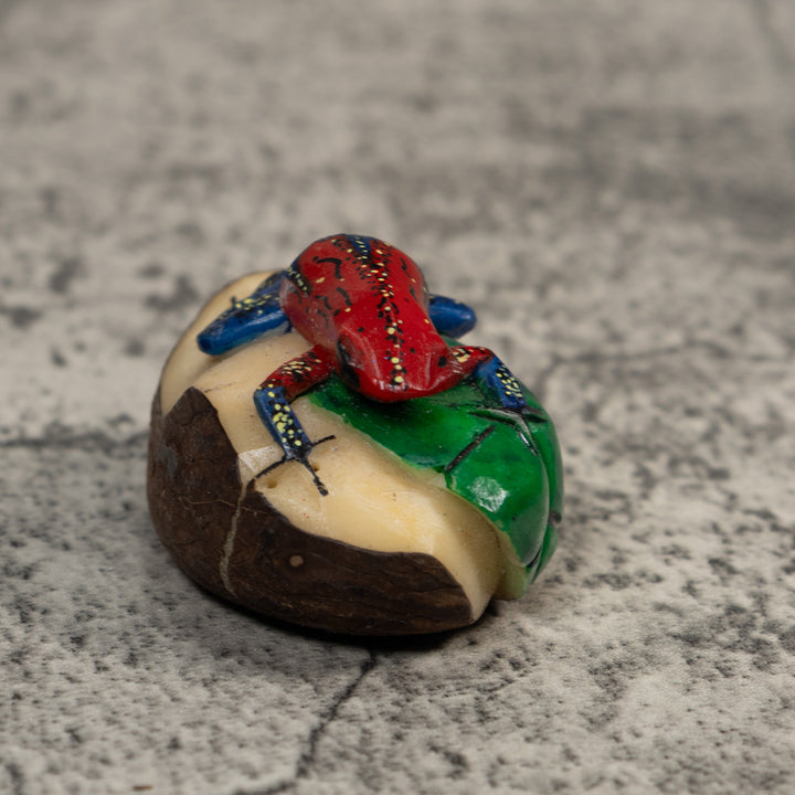 Red And Blue Poison Dart Frog Tagua Carving