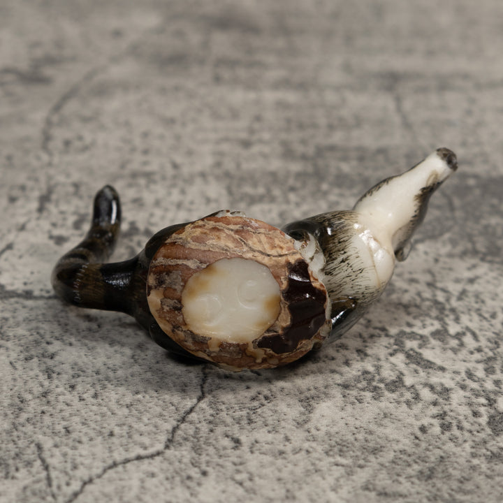 Gorgeous Coatimundi Tagua Carving