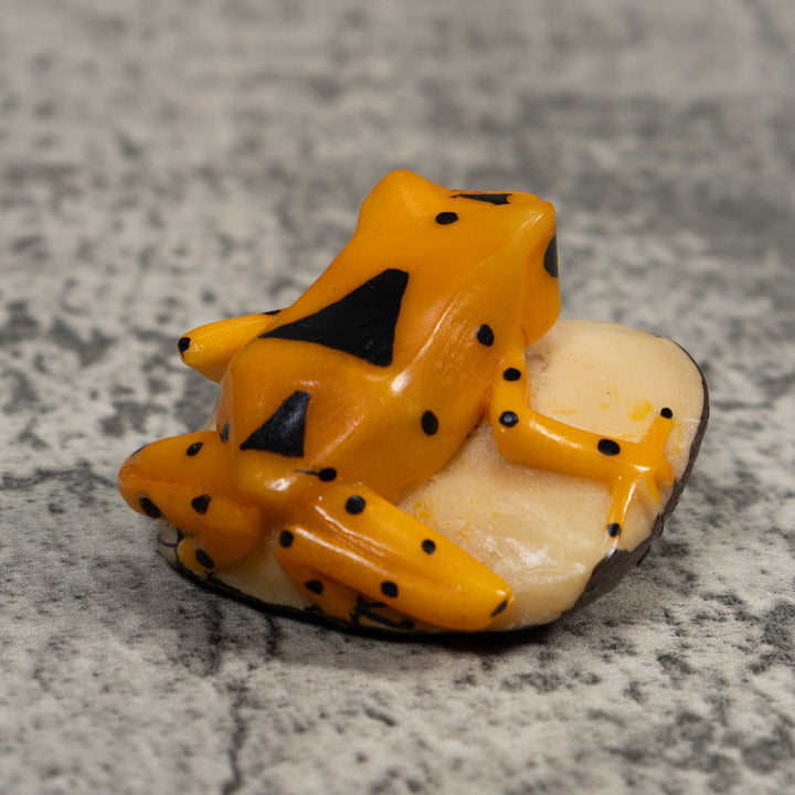 Golden Frog Tagua Carving