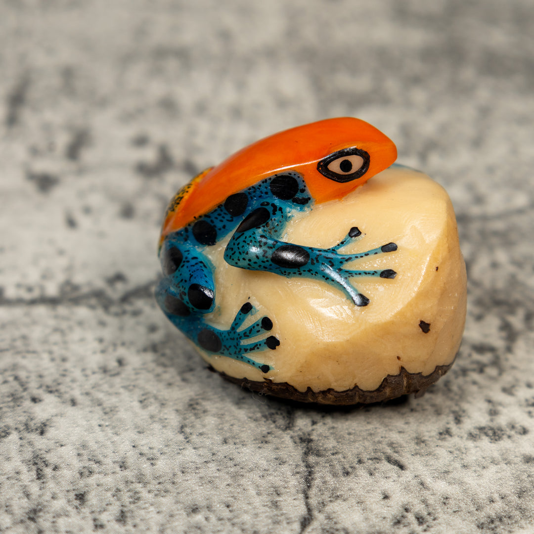 Orange And Blue Poison Dart Frog Tagua Carving