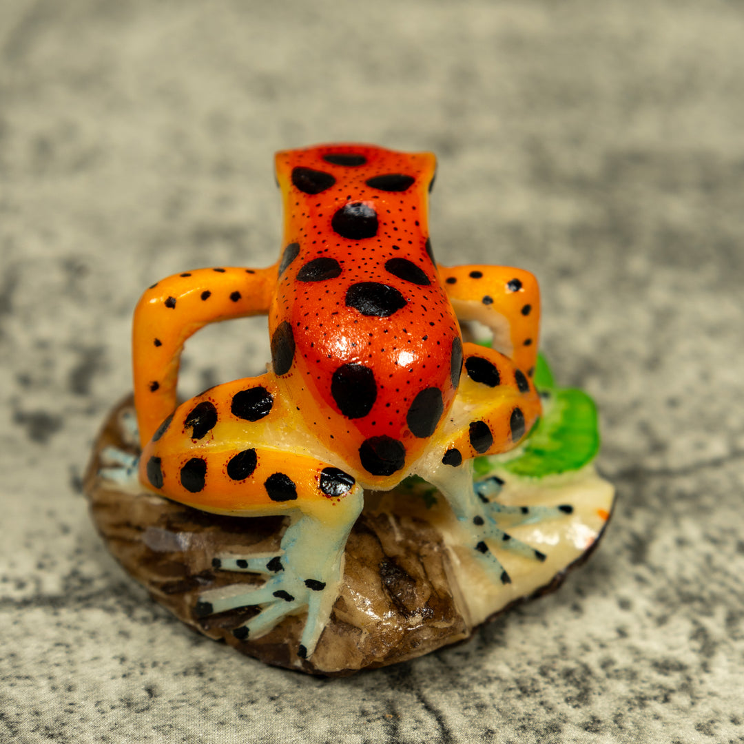 Orange And Yellow Poison Dart Frog Tagua Carving