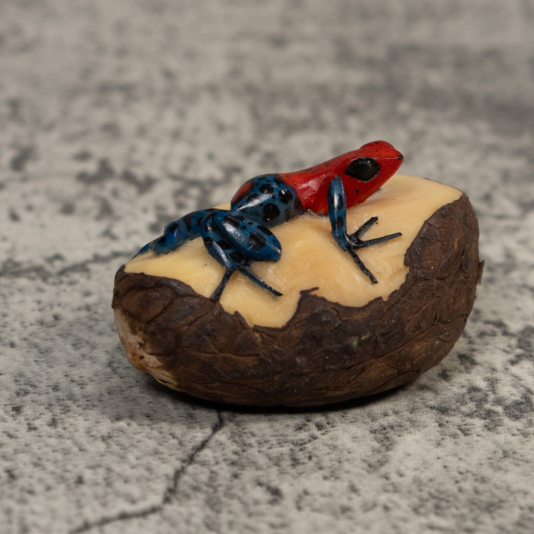 Red And Blue Poison Dart Frog Tagua Carving