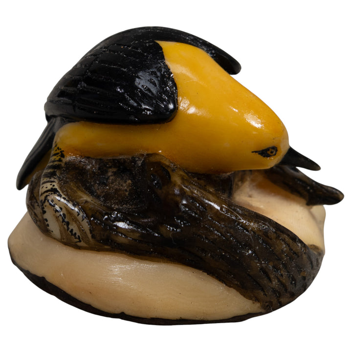 Black And Yellow Oriole Bird Tagua Carving