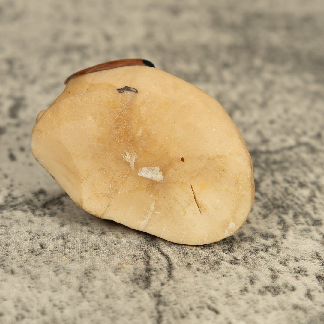 Vintage Brown And Black Frog Tagua Carving