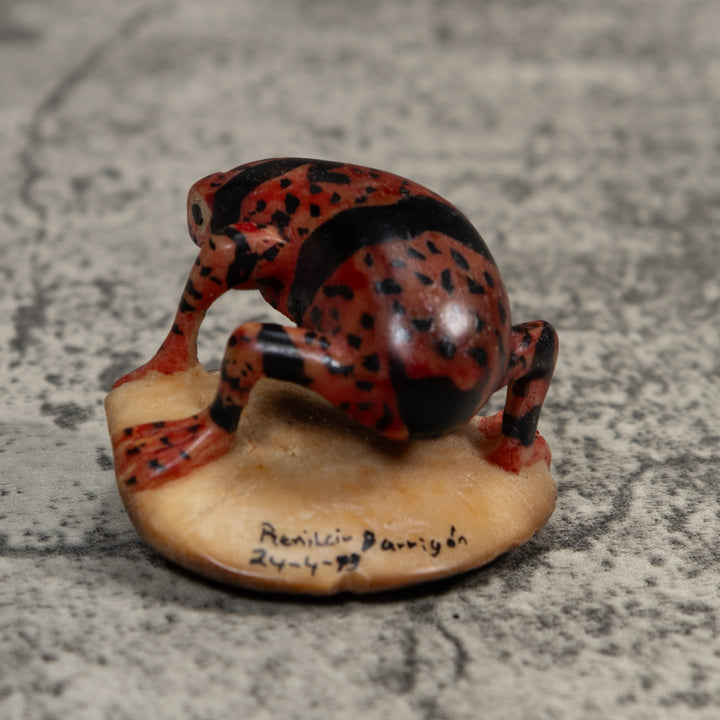 Gold And Black Undercut Poison Dart Frog Tagua Carving