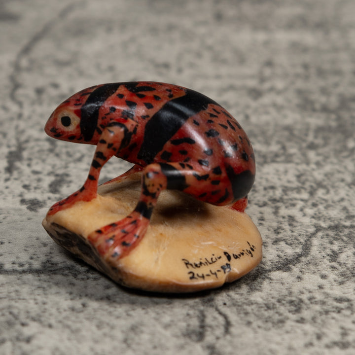 Gold And Black Undercut Poison Dart Frog Tagua Carving