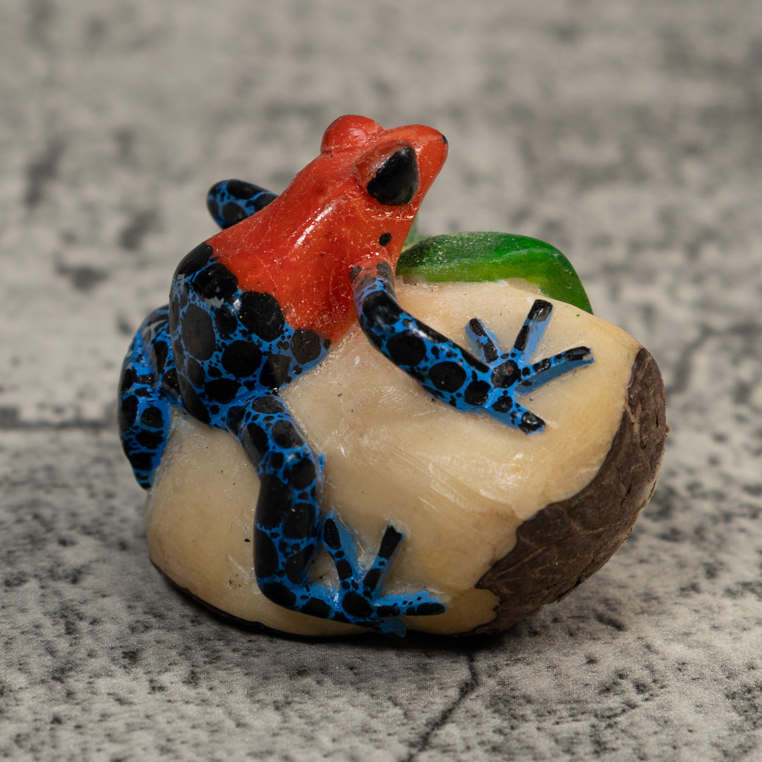 Red And Blue Poison Dart Frog Tagua Carving