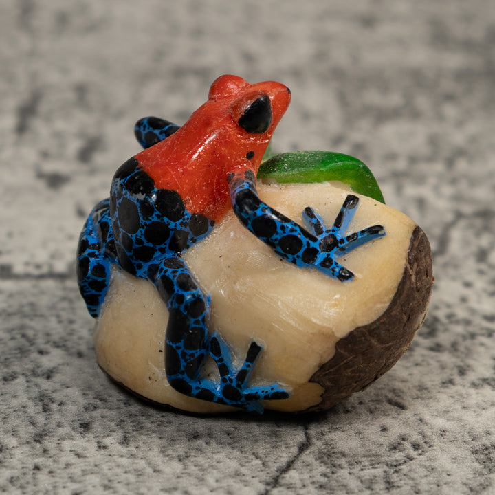 Red And Blue Poison Dart Frog Tagua Carving