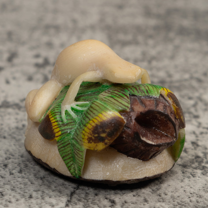 White And Green Natural Frog Tagua Carving