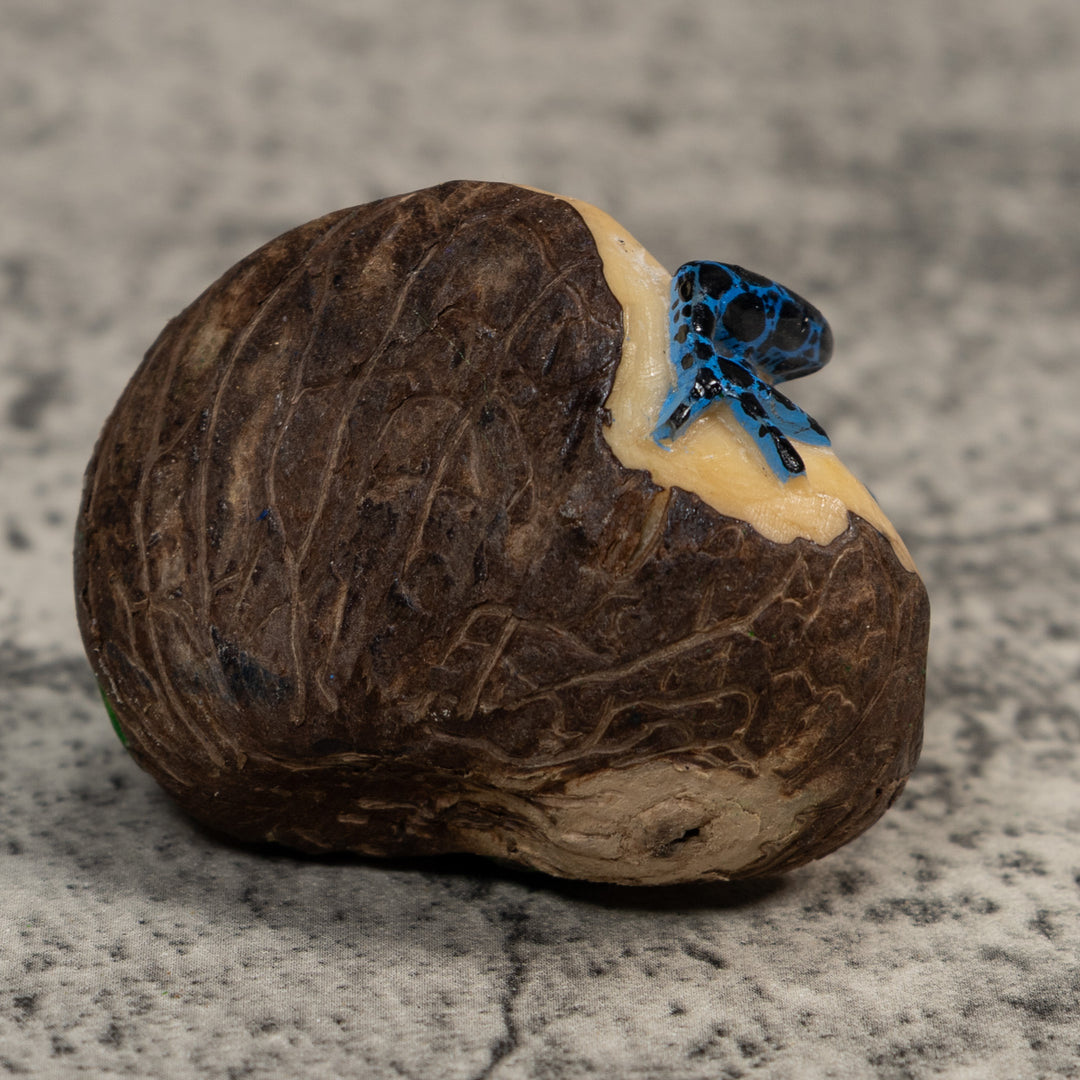 Red And Blue Poison Dart Frog Tagua Carving