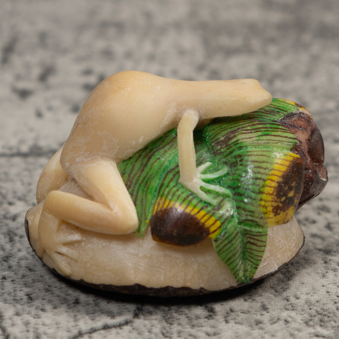 White And Green Natural Frog Tagua Carving