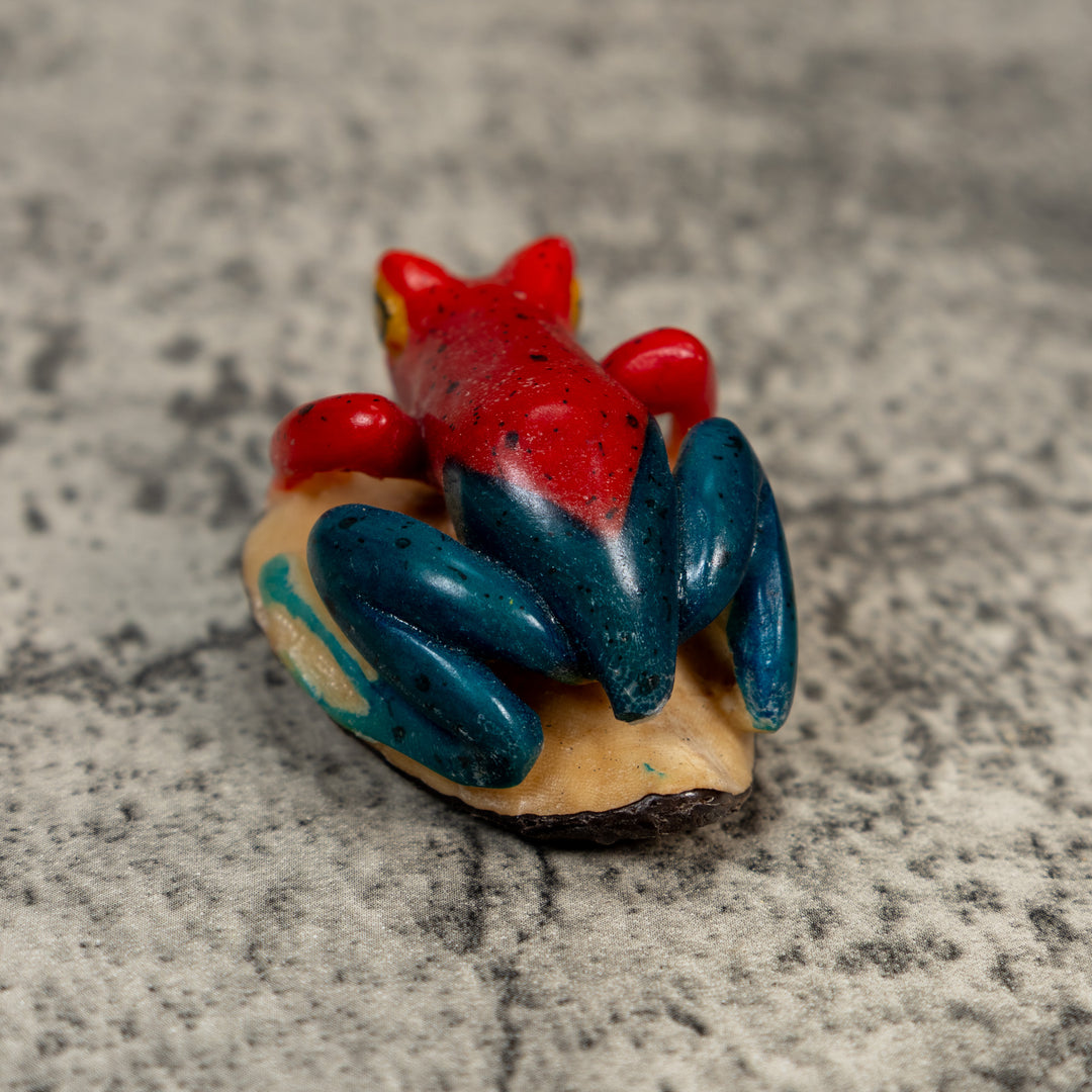 Red And Blue Poison Dart Frog Tagua Carving