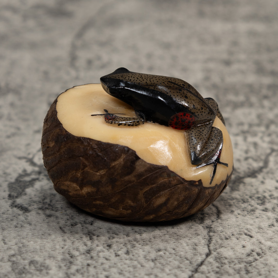 Spotted Poison Dart Frog Tagua Carving