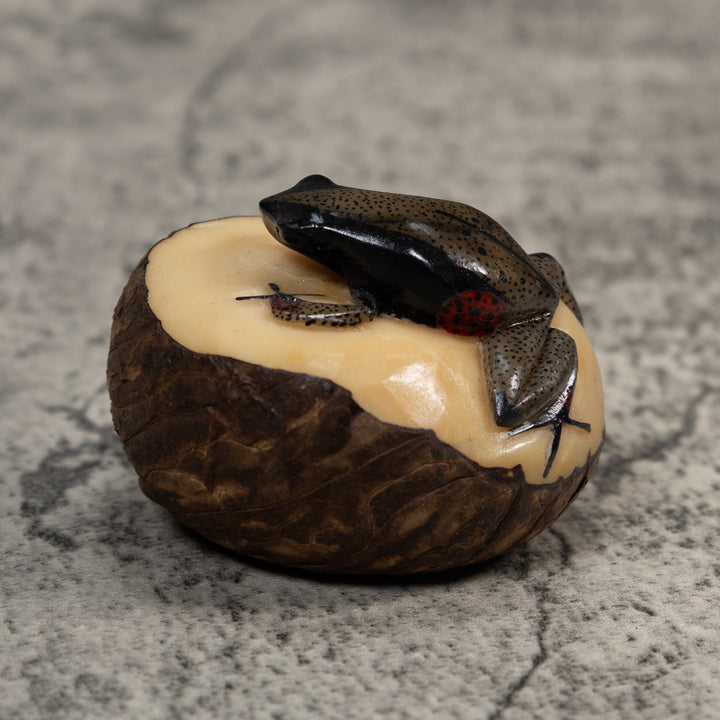 Spotted Poison Dart Frog Tagua Carving