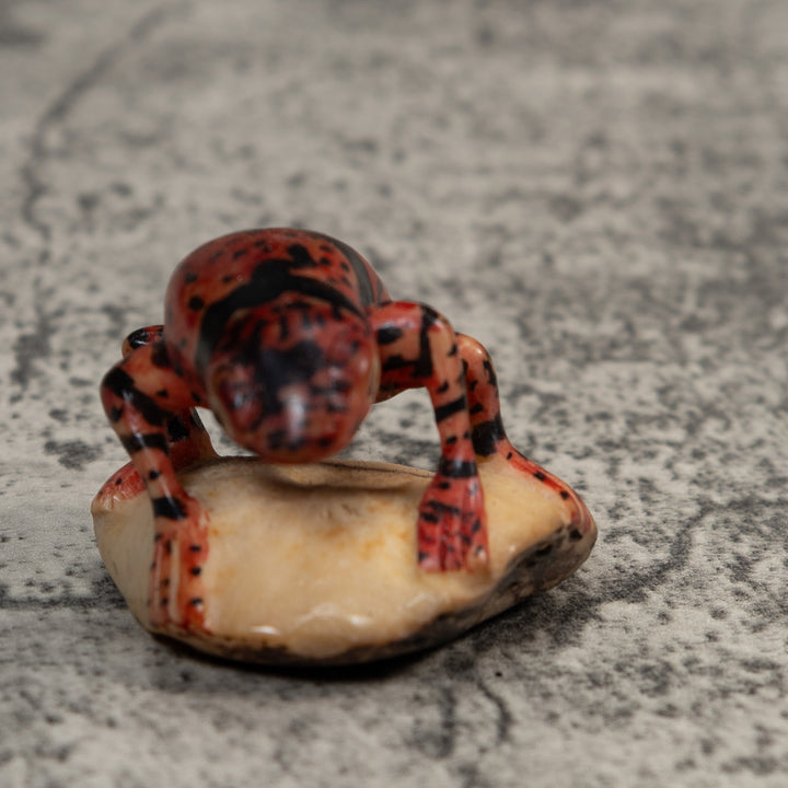 Gold And Black Undercut Poison Dart Frog Tagua Carving