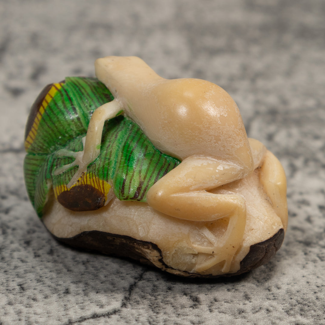 White And Green Natural Frog Tagua Carving