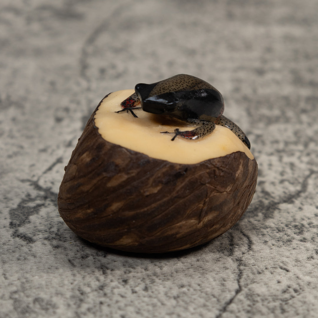 Spotted Poison Dart Frog Tagua Carving