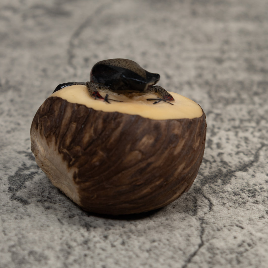 Spotted Poison Dart Frog Tagua Carving