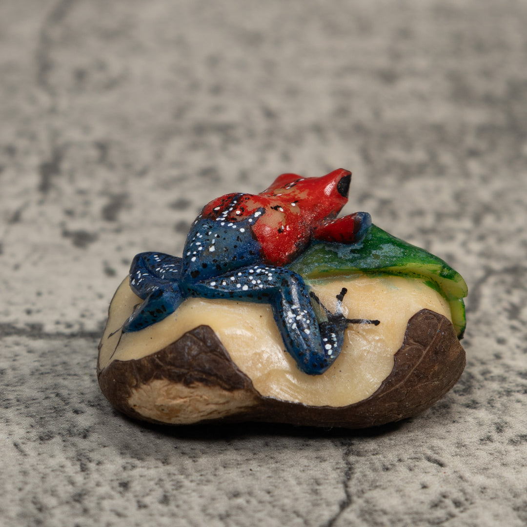 Red And Blue Poison Dart Frog Tagua Carving