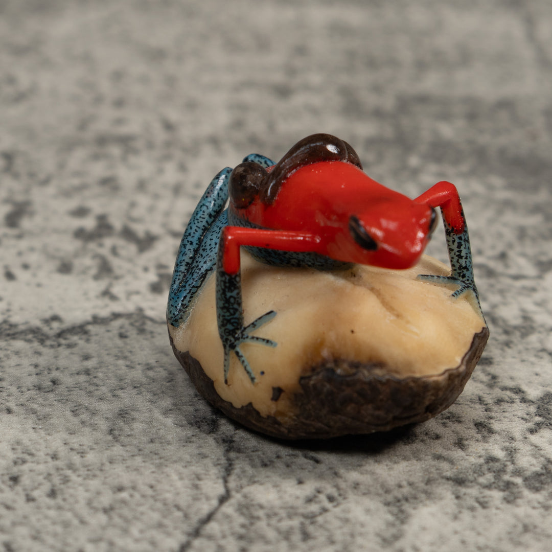 Red Black And Blue Poison Dart Frog Tagua Carving