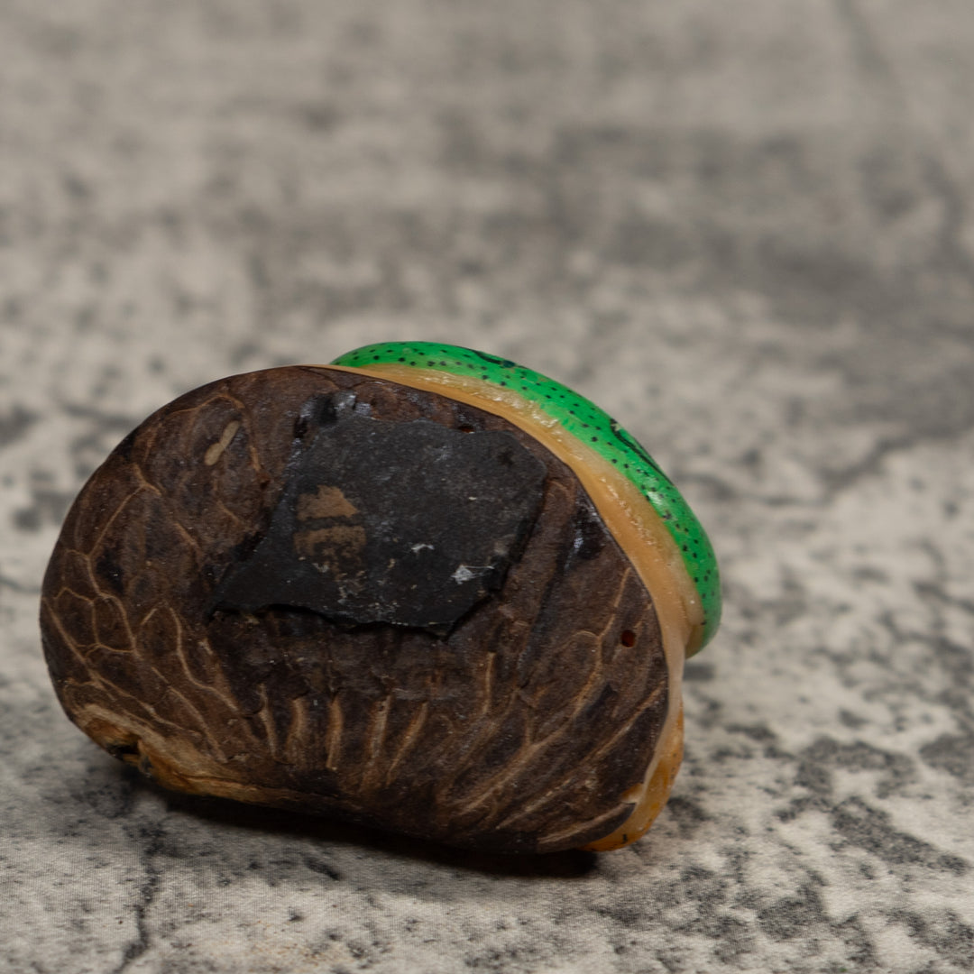 Green And Gold Snake Eating Frog Tagua Carving