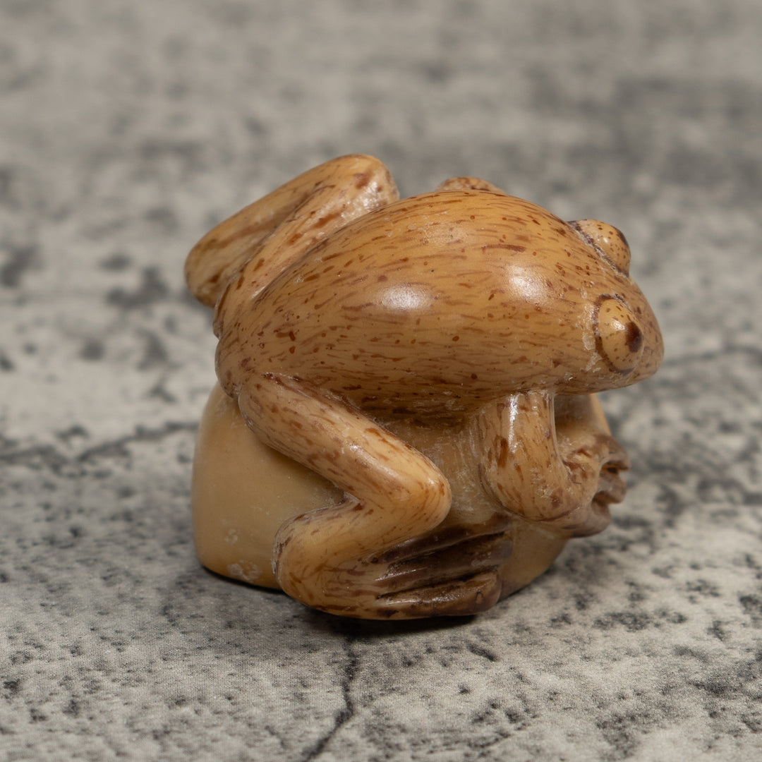 Vintage Brown And White Frog Tagua Carving